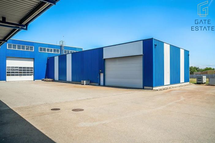 Pronájem výrobních prostor, Hrušky, Na aleji, 6941 m2