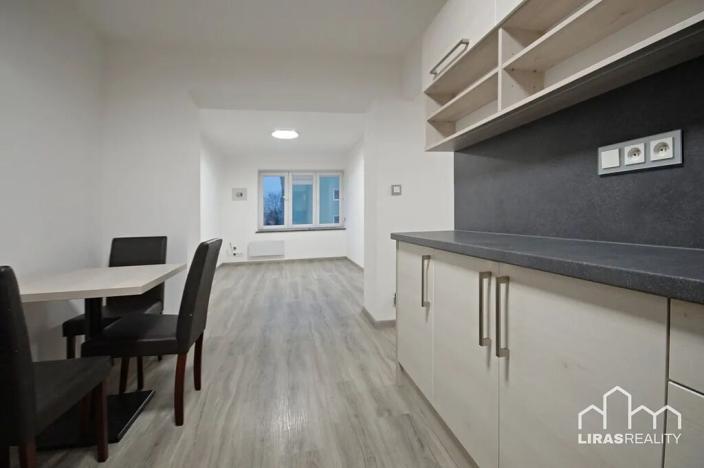 Pronájem bytu 2+1, Roudnice nad Labem, Budovatelů, 51 m2