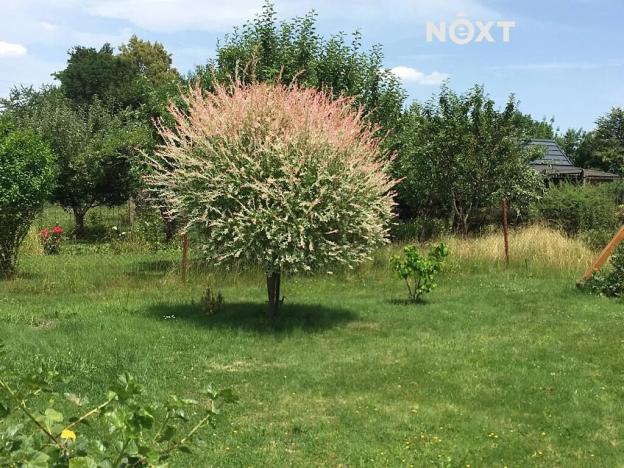 Prodej zahrady, České Budějovice, 893 m2