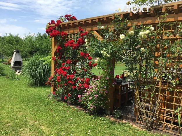 Prodej zahrady, České Budějovice, 893 m2