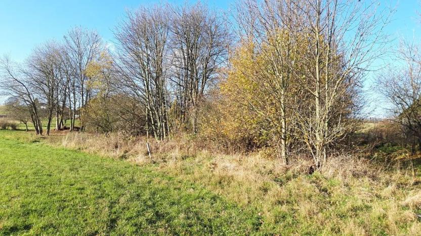 Prodej pozemku pro bydlení, Hynčina, 2595 m2