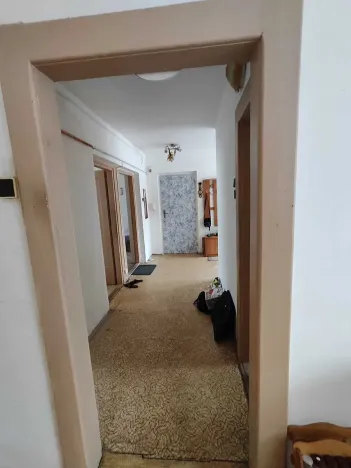 Prodej bytu 3+1, Ostrov, Seifertova, 60 m2