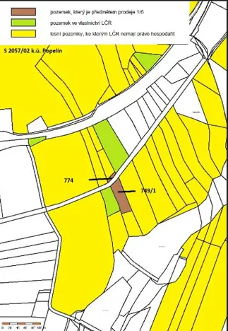 Prodej podílu lesa, Popelín, 10176 m2