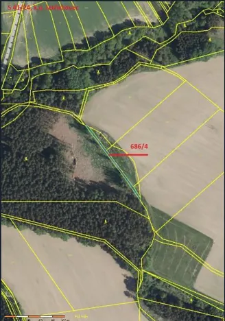 Prodej podílu lesa, Pacov, 475 m2