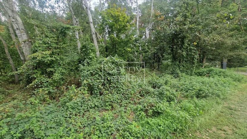 Prodej pozemku pro bydlení, Lázně Bohdaneč, Šípkova, 3376 m2