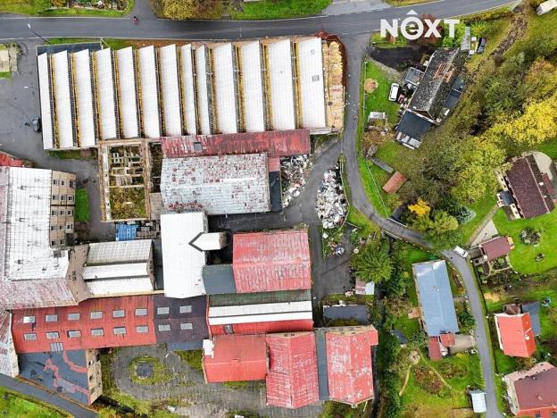 Pronájem výrobních prostor, Dětřichov, 6890 m2