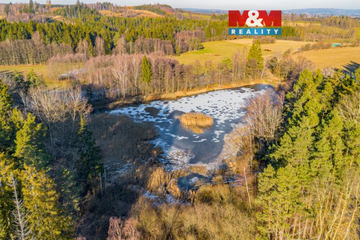 Prodej rybníku, Horní Ves, 21990 m2