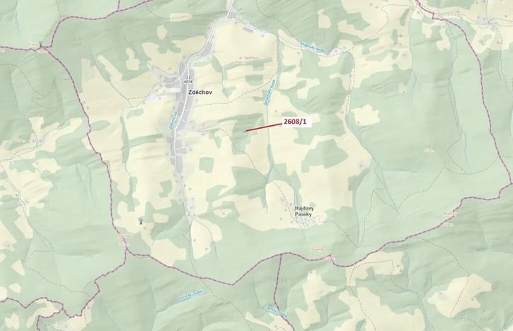 Dražba lesa, Zděchov, 481 m2