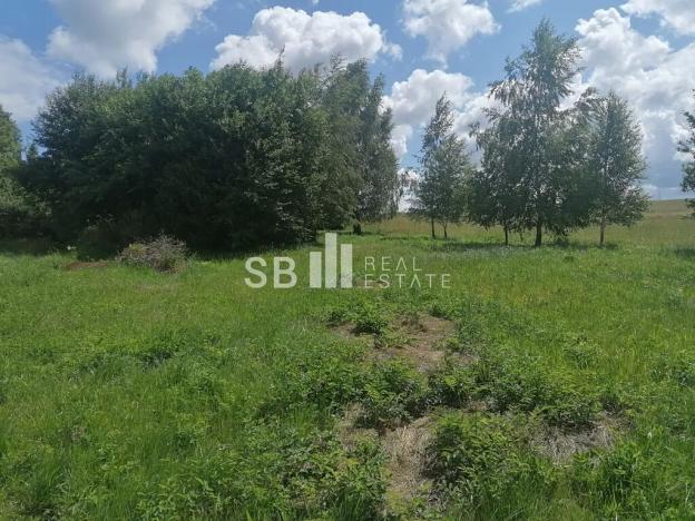 Prodej pozemku pro bydlení, Borová, 1405 m2