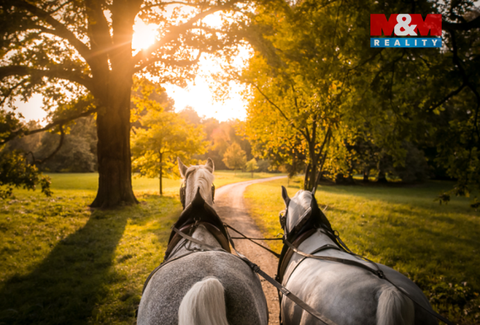 Prodej rodinného domu, Kladruby nad Labem - Kolesa, 200 m2