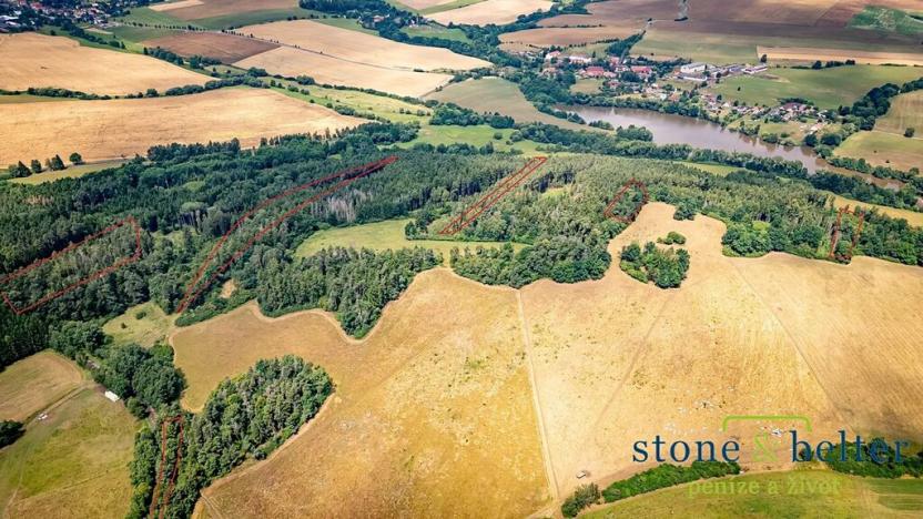 Prodej lesa, Zvěstov, 45954 m2