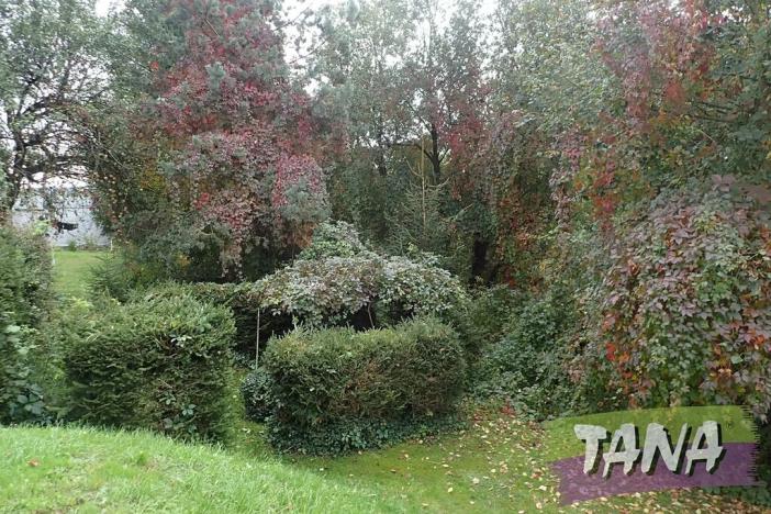 Prodej pozemku pro bydlení, Mladějov, 382 m2