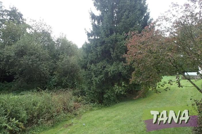 Prodej pozemku pro bydlení, Mladějov, 382 m2