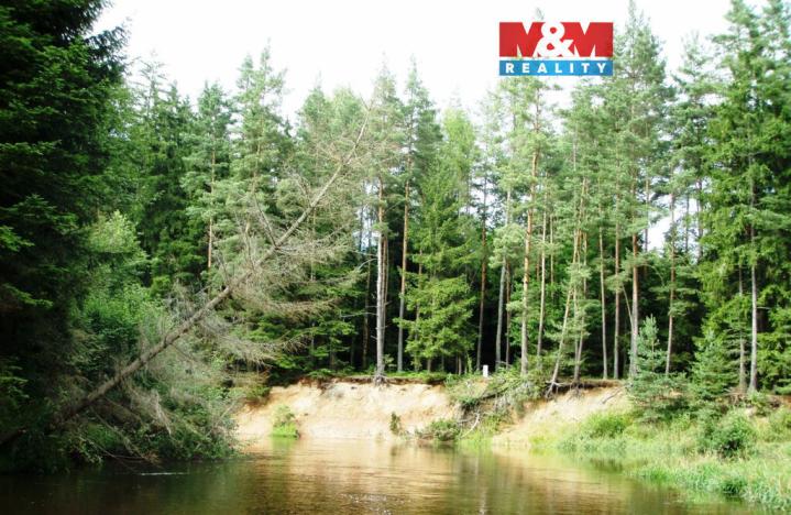 Prodej rybníku, Dvory nad Lužnicí, 8649 m2