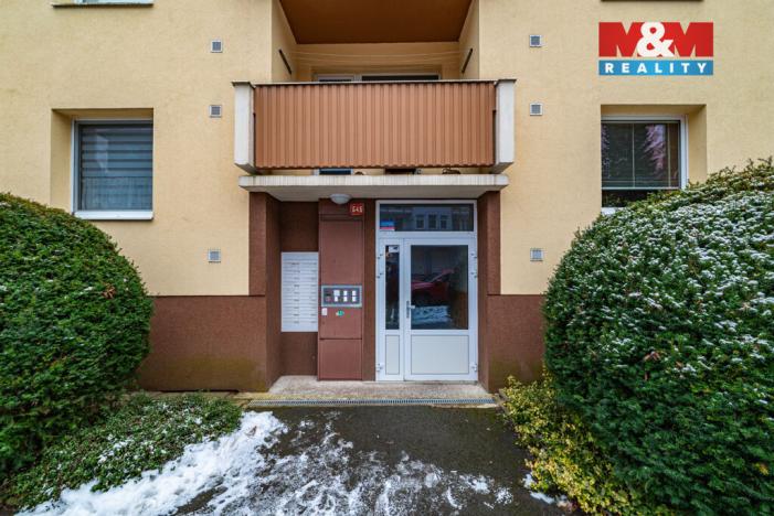 Prodej bytu 1+1, Mariánské Lázně, Družstevní, 35 m2