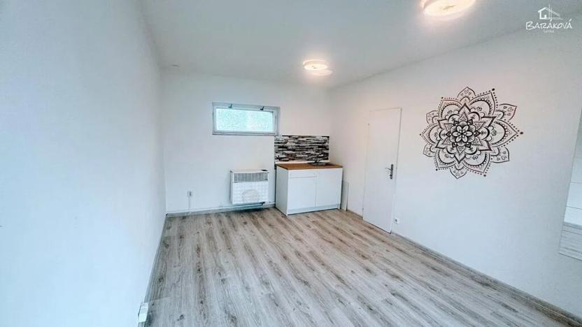 Pronájem obchodního prostoru, Plzeň, Mánesova, 17 m2