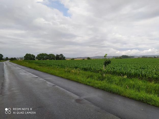 Prodej komerčního pozemku, Dolní Roveň, 13103 m2