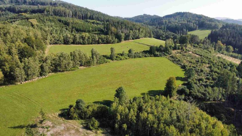 Prodej pole, Chlistov, 4212 m2