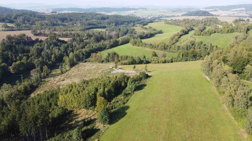 Prodej pole, Chlistov, 4212 m2