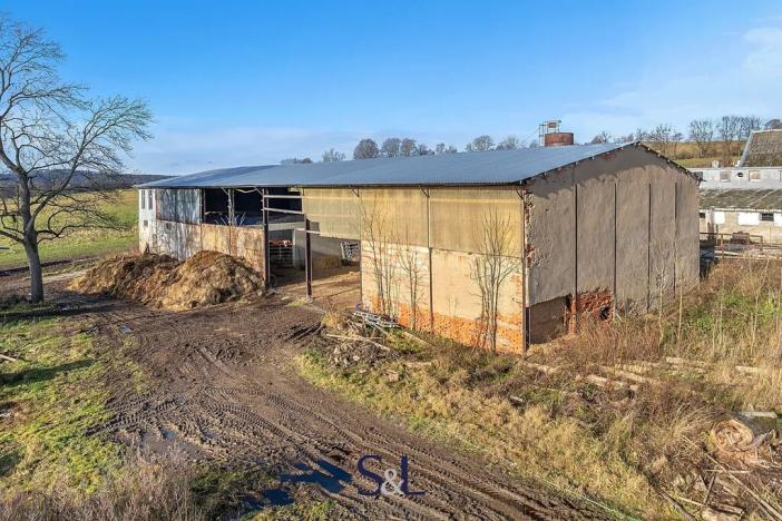 Prodej pole, Horní Podluží, 11418 m2