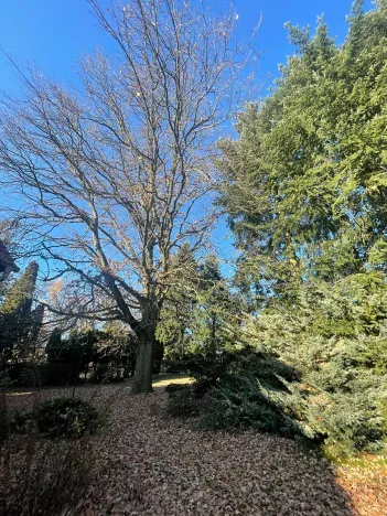 Pronájem rodinného domu, Zvole, 260 m2