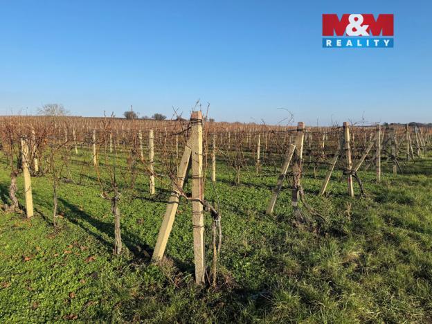 Prodej pole, Velké Bílovice, 3600 m2