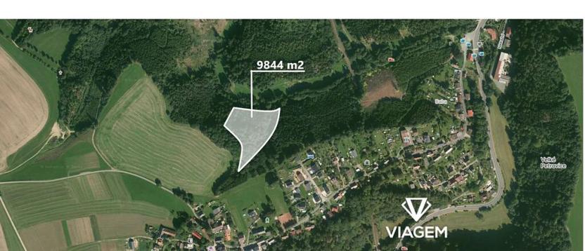 Prodej podílu lesa, Velké Petrovice, 4922 m2