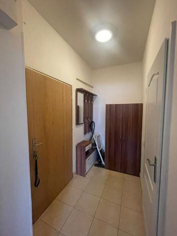 Pronájem bytu 1+kk, Praha - Žižkov, Jana Želivského, 27 m2