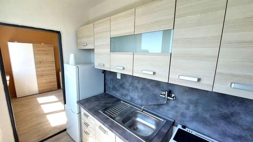 Pronájem bytu 1+1, Most, Růžová, 26 m2