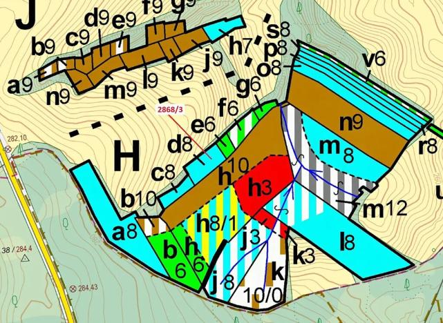 Dražba lesa, Píšť, 1321 m2
