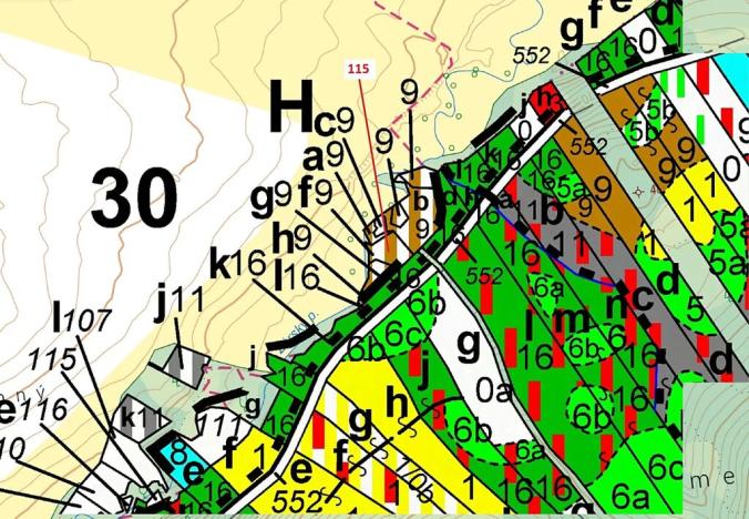 Dražba lesa, Trhové Sviny, 590 m2