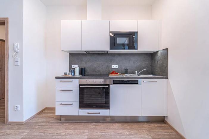 Pronájem bytu 1+kk, Mikulov, 25 m2