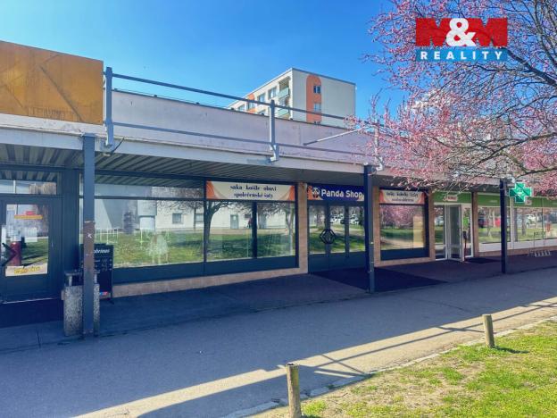 Pronájem obchodního prostoru, Mladá Boleslav - Mladá Boleslav II, Krátká, 265 m2