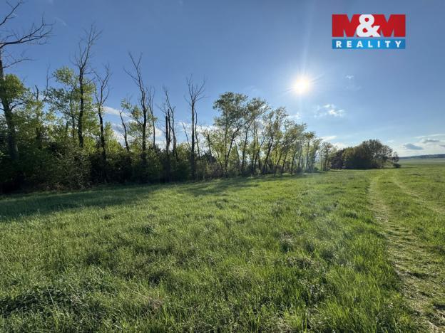 Prodej komerčního pozemku, Homole, 10254 m2