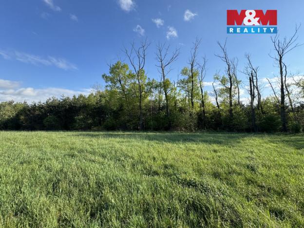 Prodej komerčního pozemku, Homole, 10254 m2