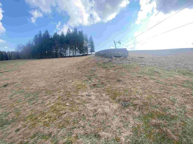 Prodej pole, Bartošovice v Orlických horách, 390 m2