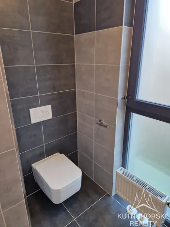 Pronájem bytu 1+kk, Kolín, Janovická, 30 m2