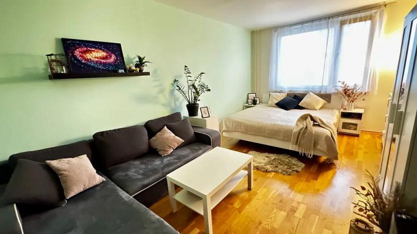 Prodej bytu 1+1, Hradec Králové, Milady Horákové, 47 m2