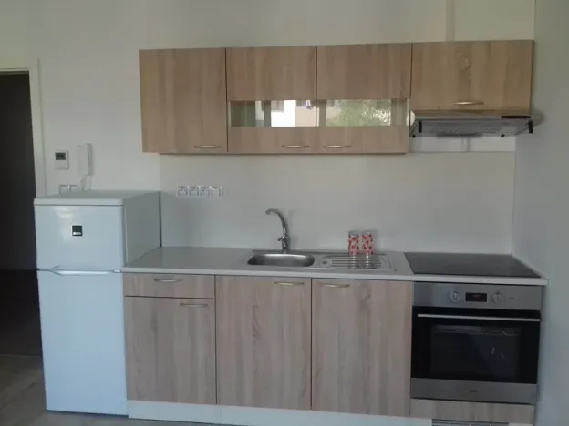 Pronájem bytu 1+kk, Brno, Kigginsova, 47 m2