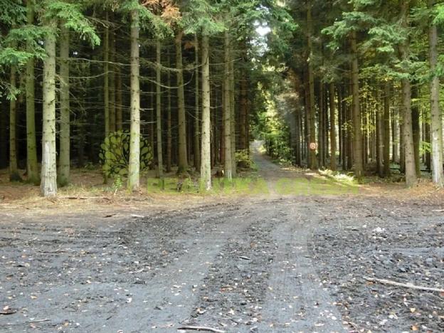 Prodej lesa, Zlín, 179312 m2