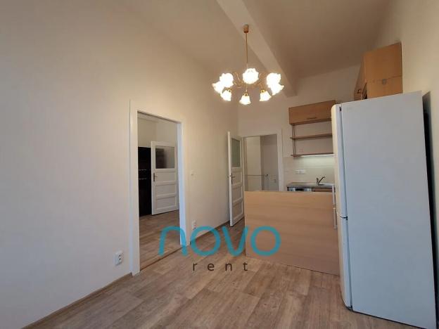 Pronájem bytu 3+kk, Praha - Nové Město, Opletalova, 71 m2