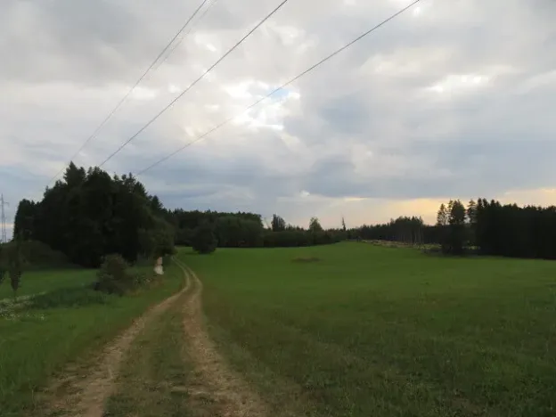 Dražba pole, Počátky, 11945 m2