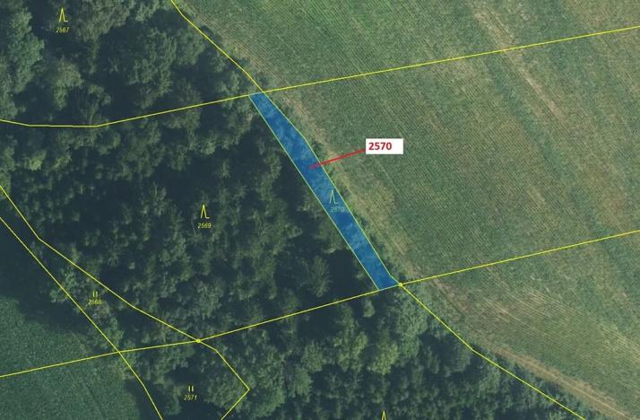 Dražba lesa, Písečná, 447 m2