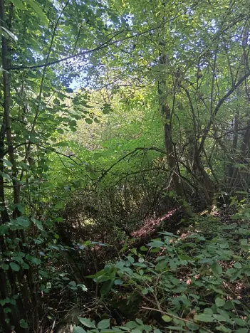 Prodej pozemku pro bydlení, Bojkovice, 819 m2