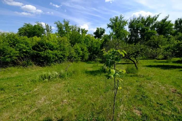 Prodej zahrady, Uherský Brod, 2032 m2