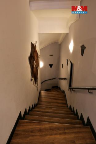 Prodej obchodního prostoru, Olomouc, Riegrova, 890 m2