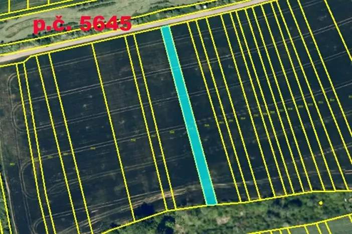 Prodej pole, Ořechov, 10343 m2