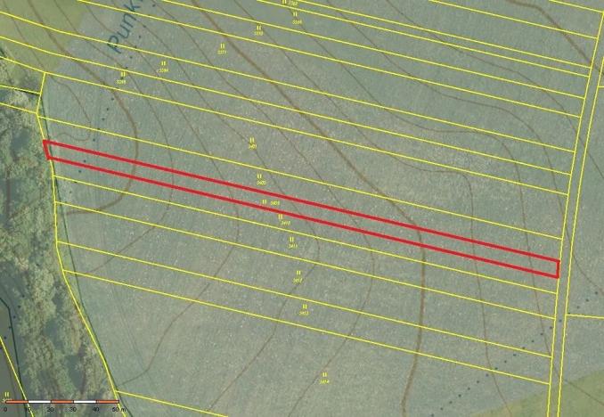 Prodej pole, Ostrov u Macochy, 7161 m2