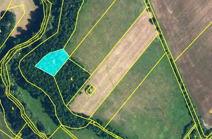 Prodej lesa, Rouchovany, 1620 m2