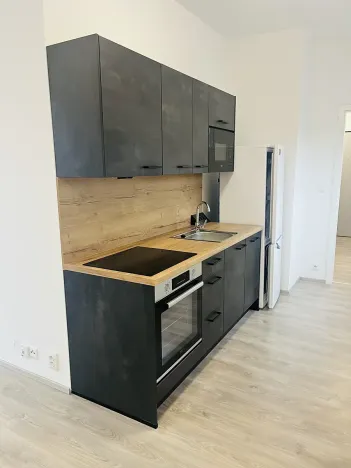 Pronájem bytu 1+kk, Lovosice, Zámecká, 60 m2